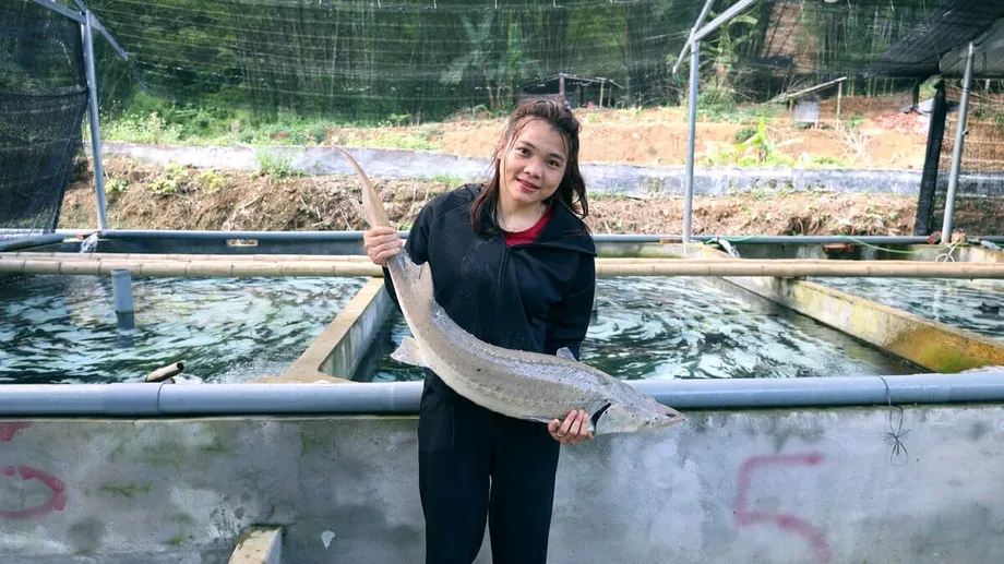 Budi Daya Ikan Sturgeon di Thanh Hoa: Dari Kesulitan di Pegunungan Menuju Terobosan Ekonomi