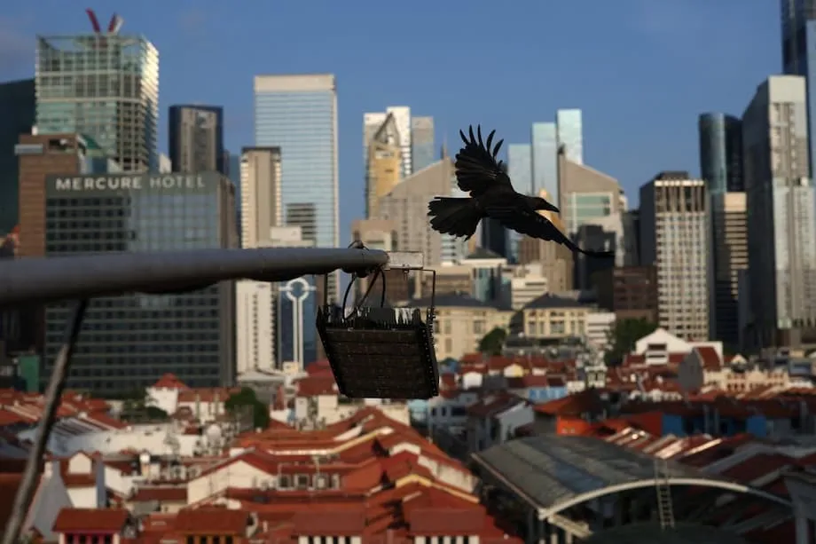 Singapura Menghadapi Lonjakan Mengkhawatirkan Kasus Bunuh Diri di Kalangan Dewasa Muda: Memahami Krisis dan Langkah ke Depan