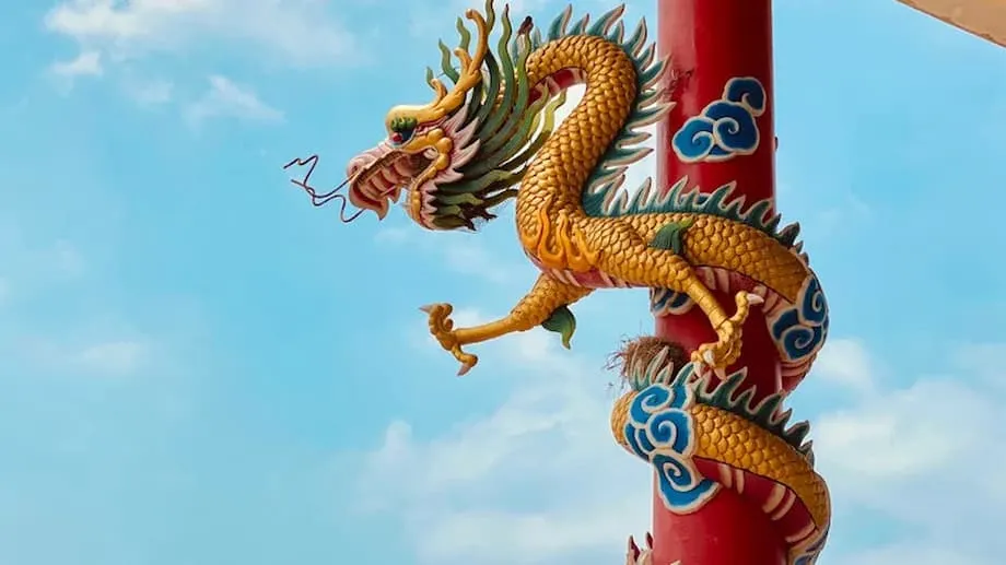 Penemuan Fosil 'Naga' Prasejarah di China Mengungkap Reptil Air Berleher Panjang dari Era Trias