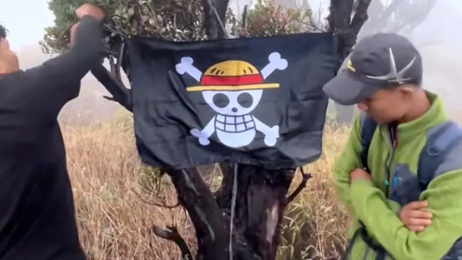 Bagaimana Bendera Bajak Laut One Piece Menjadi Simbol Protes di Indonesia