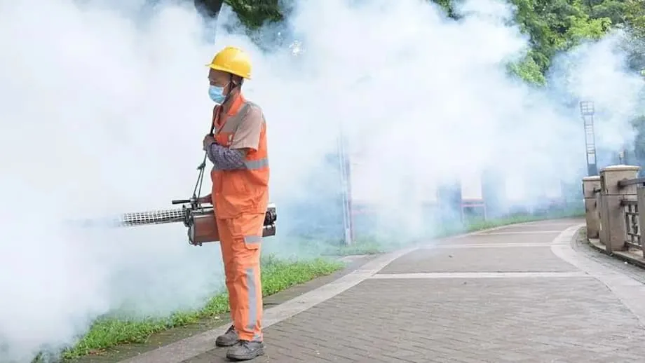Wabah Chikungunya Terbesar di China: Cara Guangdong Melawan Virus yang Ditularkan Nyamuk