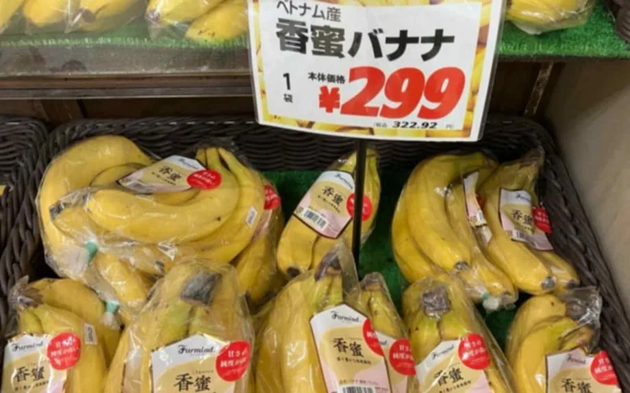 Pisang Vietnam Makin Diminati di Jepang: Pergeseran Perdagangan Pisang di Asia