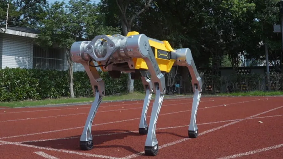 Anjing Robot White Rhino dari China Pecahkan Rekor Dunia Lari 100 Meter: Maknanya bagi Robotika