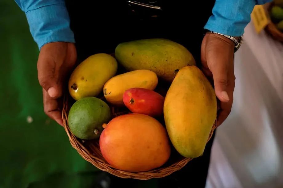 Mangga India dan Diabetes: Uji Klinis Baru Menantang Anggapan Lama