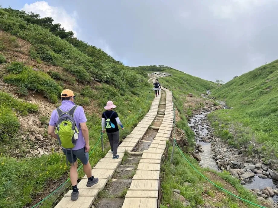 Lonjakan Wisata Sejuk di Jepang: Bagaimana Perubahan Iklim Membentuk Ulang Wisata Musim Panas