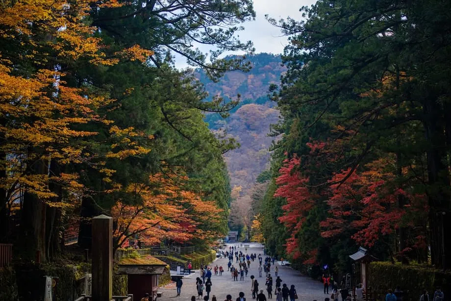 5 Tempat Terbaik untuk Menikmati Daun Gugur Awal di Jepang: Lokasi Melihat Warna-Warna Pertama Musim Gugur