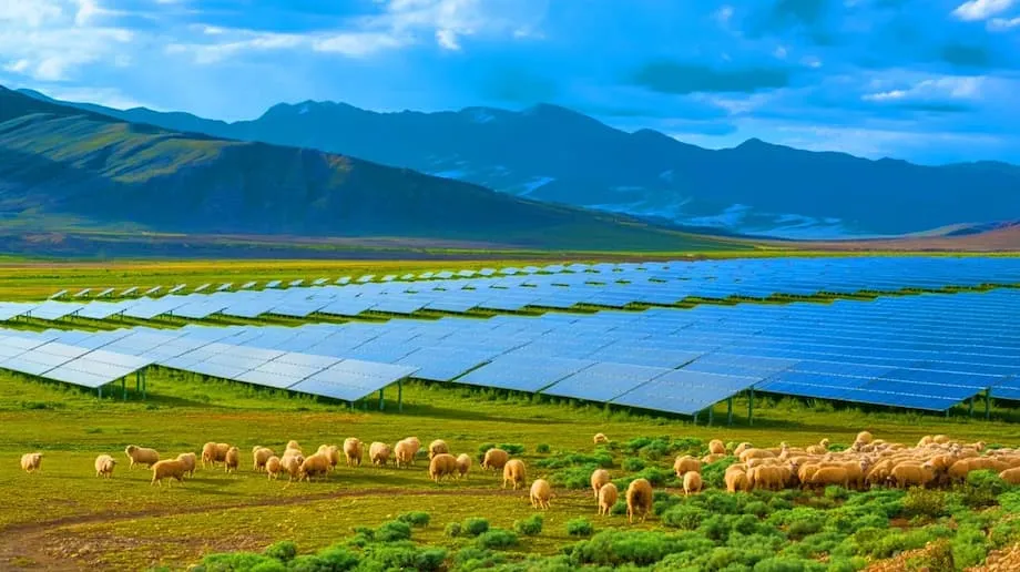 Ladang Surya Raksasa China Pulihkan Ekosistem dan Pasok Listrik bagi Jutaan Orang