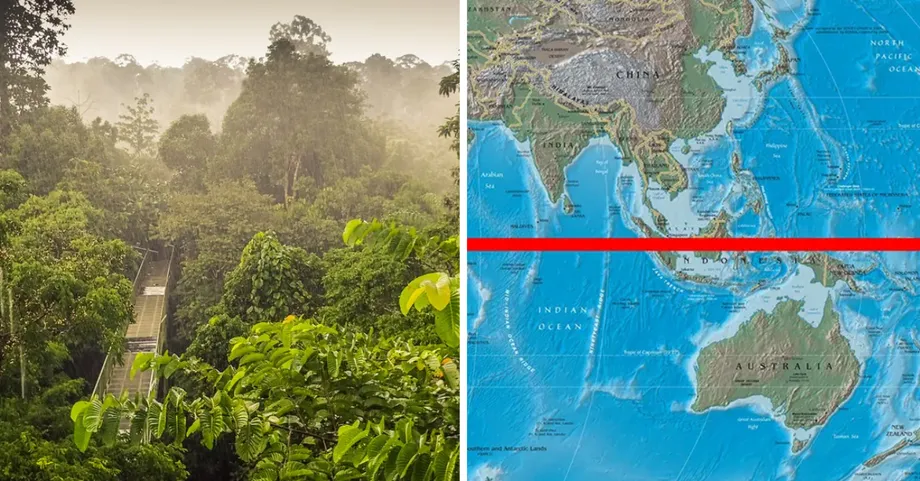 Mengapa Hutan Hujan Malaysia Termasuk Ekosistem Tertua di Bumi