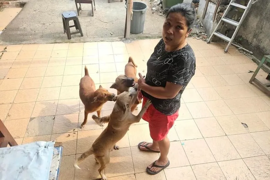 Jakarta Bergerak Melarang Daging Anjing dan Kucing di Tengah Meningkatnya Kekhawatiran soal Kesehatan dan Kesejahteraan Hewan