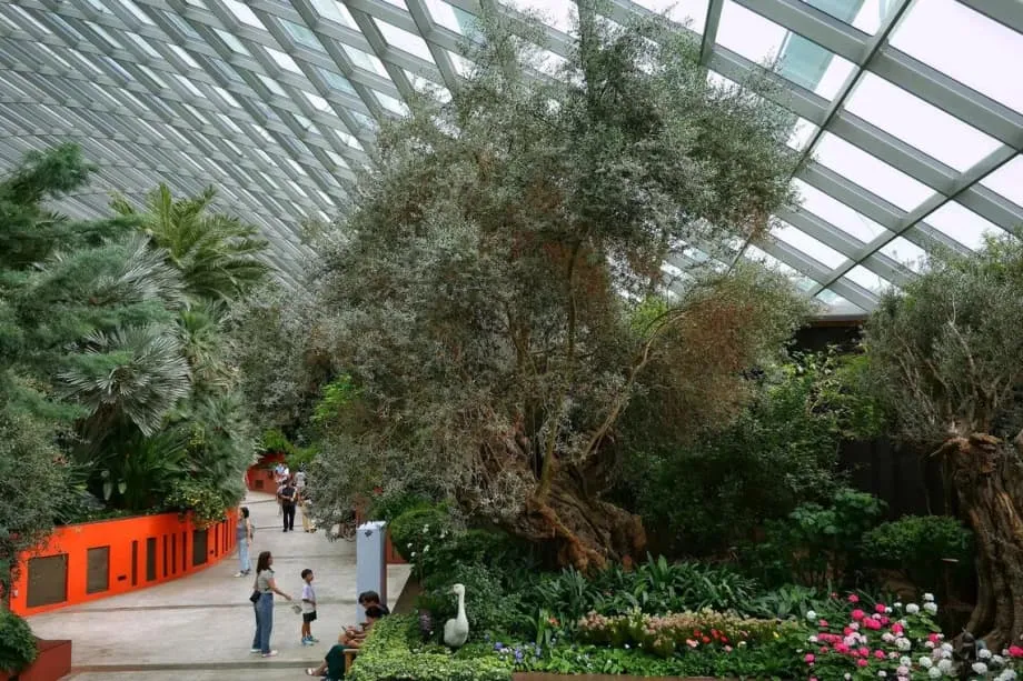 10 Tempat Inspiratif di Singapura yang Mengubah Jalan-Jalan Keluarga Menjadi Kegiatan Belajar