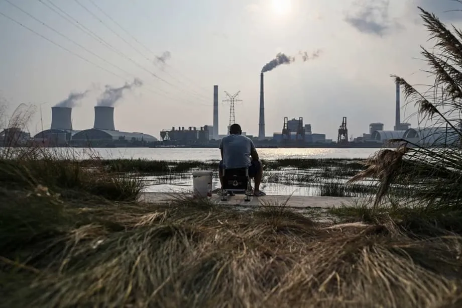 China Menahan Pendanaan untuk Dana Hutan Brasil, Desak Negara-Negara Kaya Memimpin di COP30
