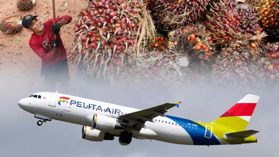 Indonesia Akan Mengomersialkan Bahan Bakar Jet Berbasis Minyak Sawit dalam 3 Tahun