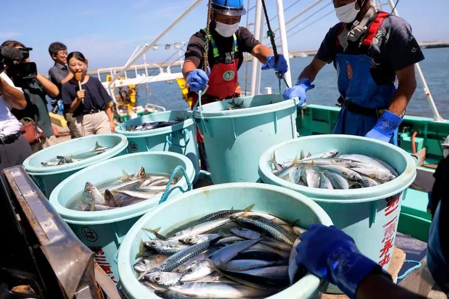 China Bergerak Menangguhkan Impor Hasil Laut Jepang saat Perselisihan Taiwan Memanas