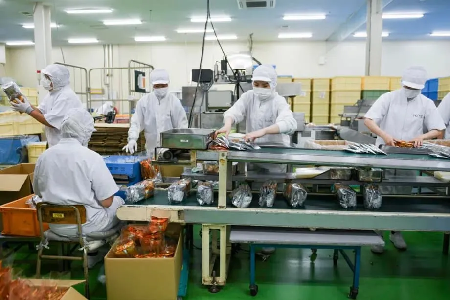 Jumlah Penduduk Asing di 10 Prefektur Jepang Berlipat Ganda dalam Satu Dekade