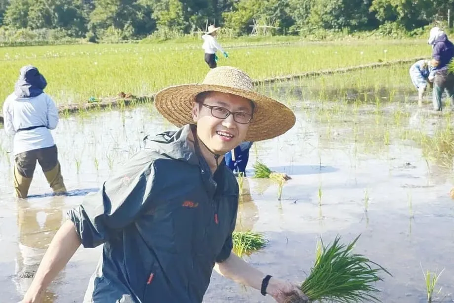 Terobosan China dalam Padi Hibrida Klonal Berpotensi Merevolusi Ketahanan Pangan Global