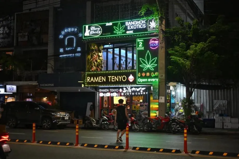 Eksperimen Ganja Thailand: Dari Harapan Ekonomi Menjadi Kekhawatiran Sosial