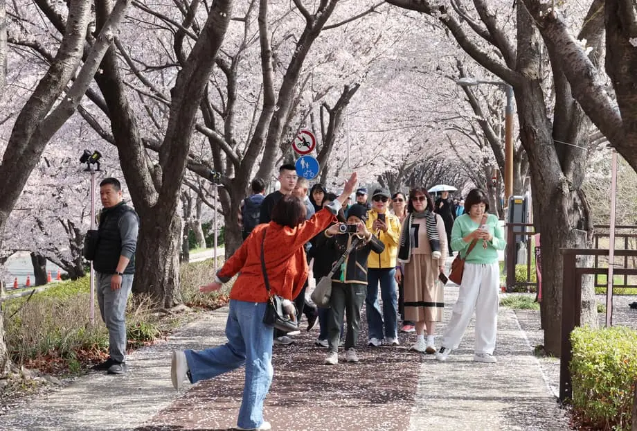 Korea Selatan Perluas Infrastruktur Pariwisata ke Luar Seoul dengan Transportasi Pintar dan Konektivitas Regional