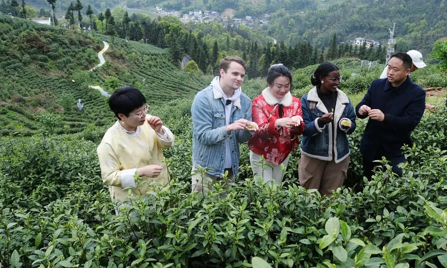 Para Akademisi Asing Menemukan Modernitas Baru dalam Model Tata Kelola China