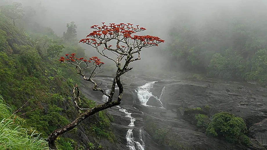 Anomali Dingin Atlantik Memicu Pergeseran Pola Monsun India yang Belum Pernah Terjadi
