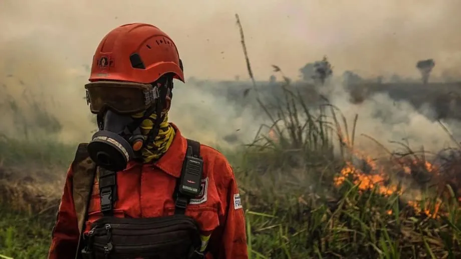 Kabut Beracun akibat Kebakaran Hutan Meluas di Asia Tenggara saat El Niño Super Menguat