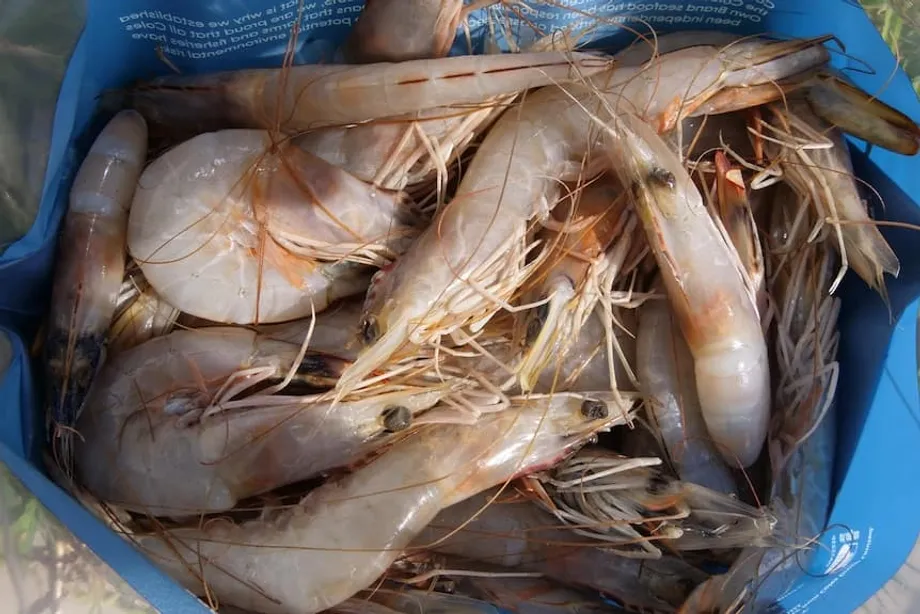 Bagaimana Sesium-137 Mencemari Udang, Rempah-rempah, dan Sepatu Kets: Menelusuri Penyelidikan Radiasi di Indonesia