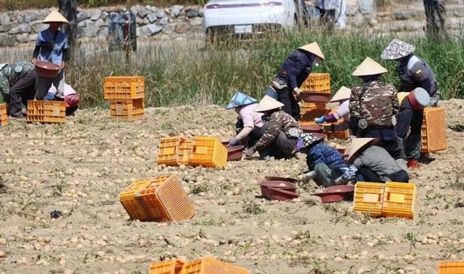 Korea Beralih ke Imigrasi, Namun Studi Memperingatkan Langkah Ini Tak Akan Menghentikan Penurunan Demografi