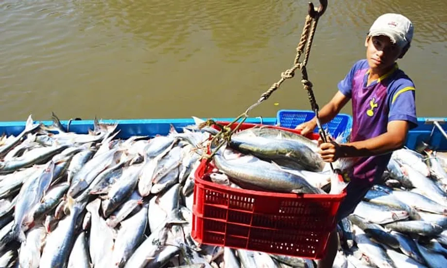 Vietnam Naik Menjadi Pemasok Produk Laut Terbesar Ketiga Singapura