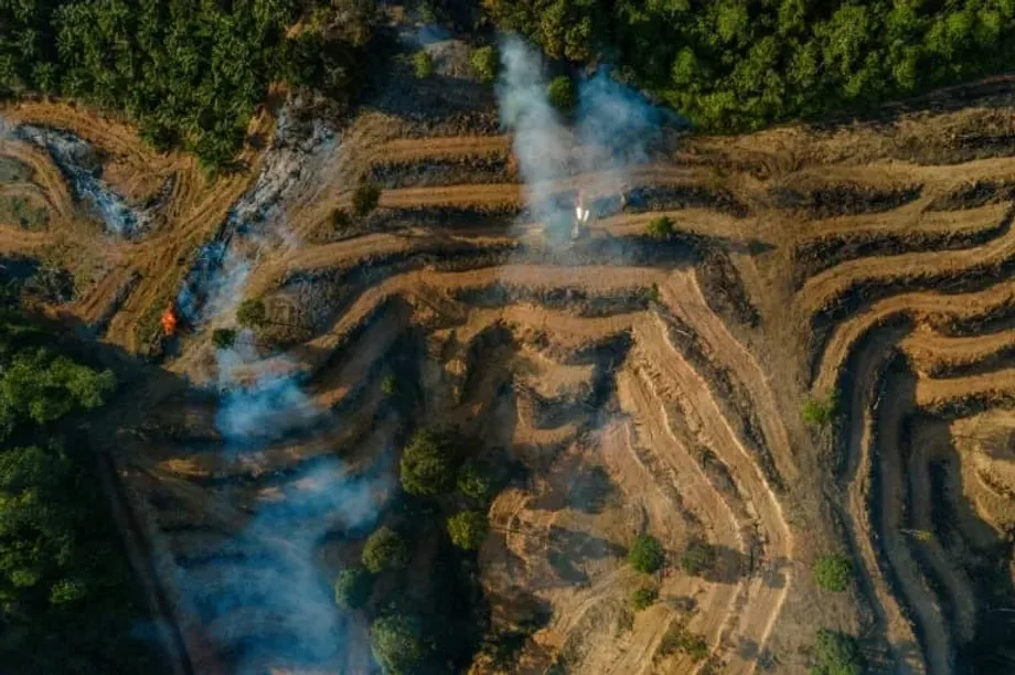Penyelidikan Penipuan Minyak Sawit di Indonesia Mengaitkan Perusahaan Energi Besar Eropa dengan Skema Salah Label