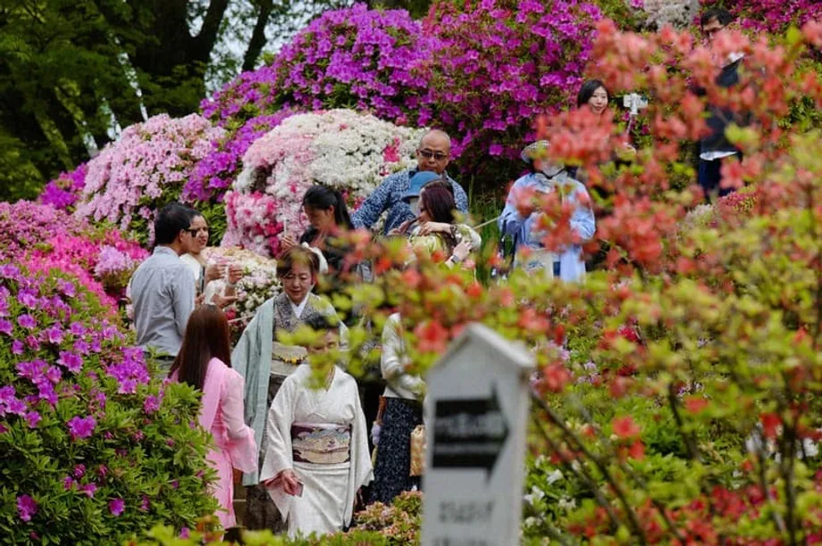 Jepang Menempuh Jalan Tengah dalam Verifikasi Usia Media Sosial di Tengah Gelombang Larangan Global