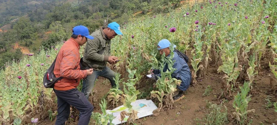 Myanmar's Giant Meth Lab Seizure Leaves Drug Producers Unnamed as Opium Cultivation Surges