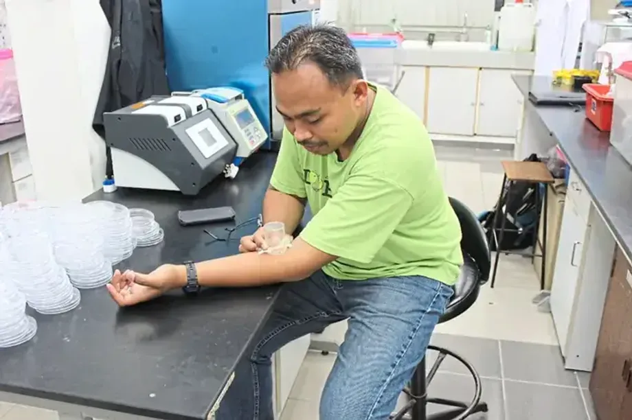 Kutu Busuk sebagai Bukti Forensik: Ilmuwan Malaysia Mengungkap Petunjuk Baru di Tempat Kejadian Perkara