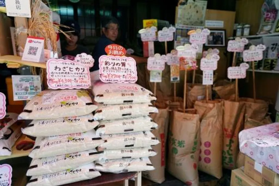 Lonjakan Harga Beras di Jepang: Penyebab, Dampak, dan Perjuangan Menjaga Ketahanan Pangan