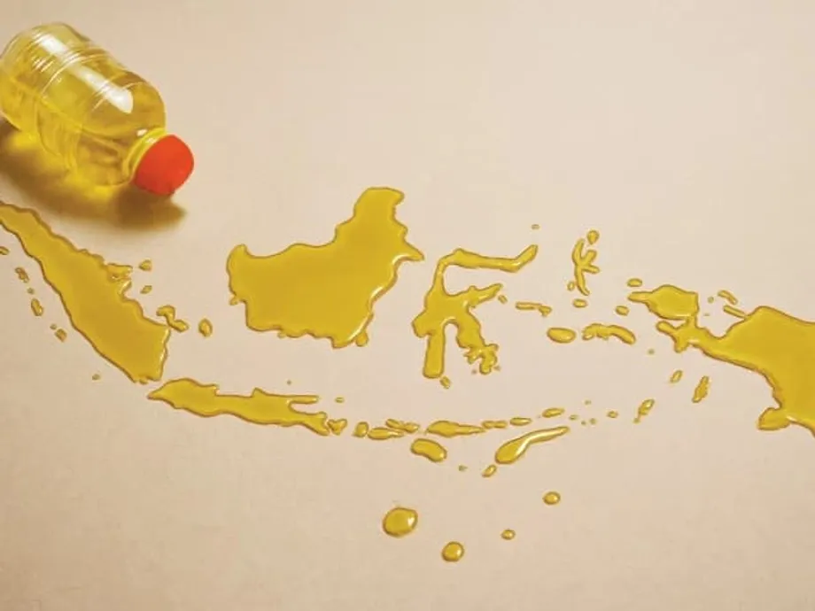 Bagaimana Minyak Sawit Indonesia Menopang Ketahanan Pangan dan Stabilitas Harga di Pakistan